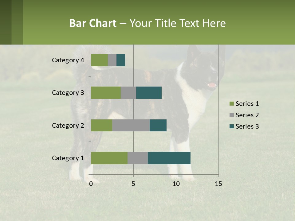 A Brown And White Dog Standing On Top Of A Lush Green Field PowerPoint Template