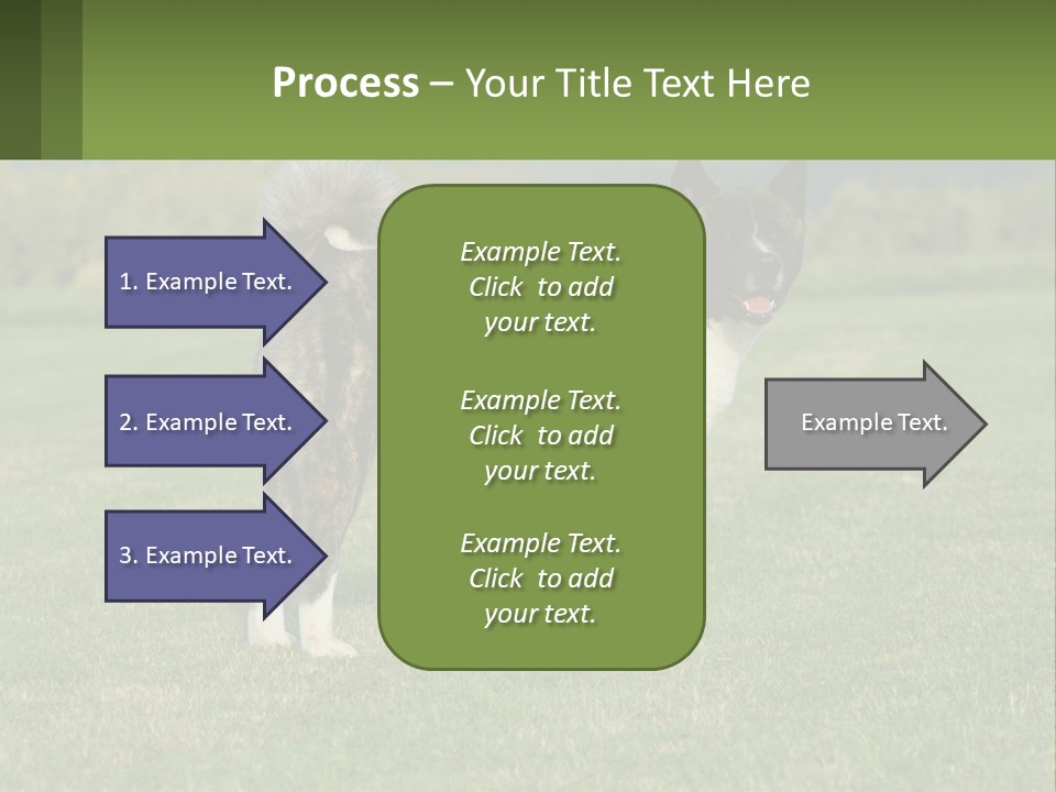 A Brown And White Dog Standing On Top Of A Lush Green Field PowerPoint Template