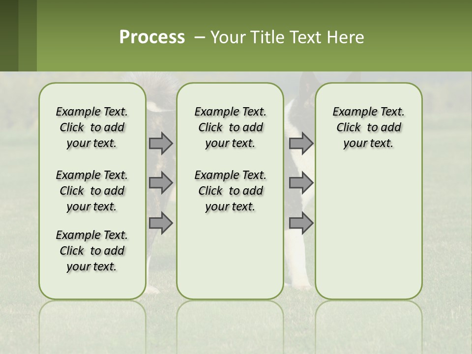 A Brown And White Dog Standing On Top Of A Lush Green Field PowerPoint Template
