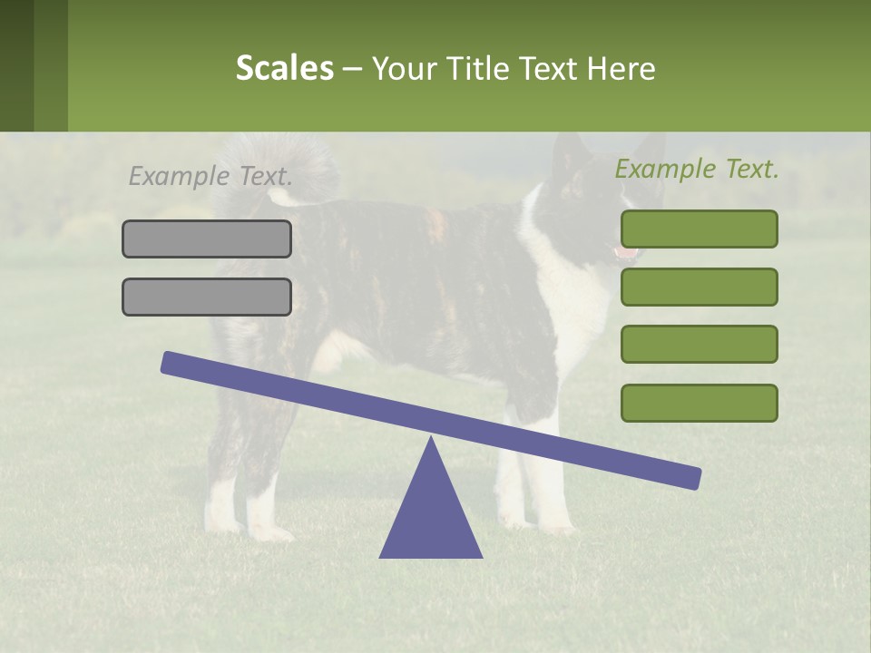 A Brown And White Dog Standing On Top Of A Lush Green Field PowerPoint Template