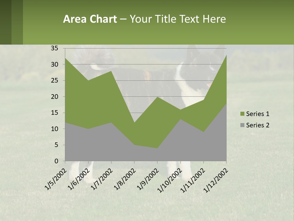 A Brown And White Dog Standing On Top Of A Lush Green Field PowerPoint Template