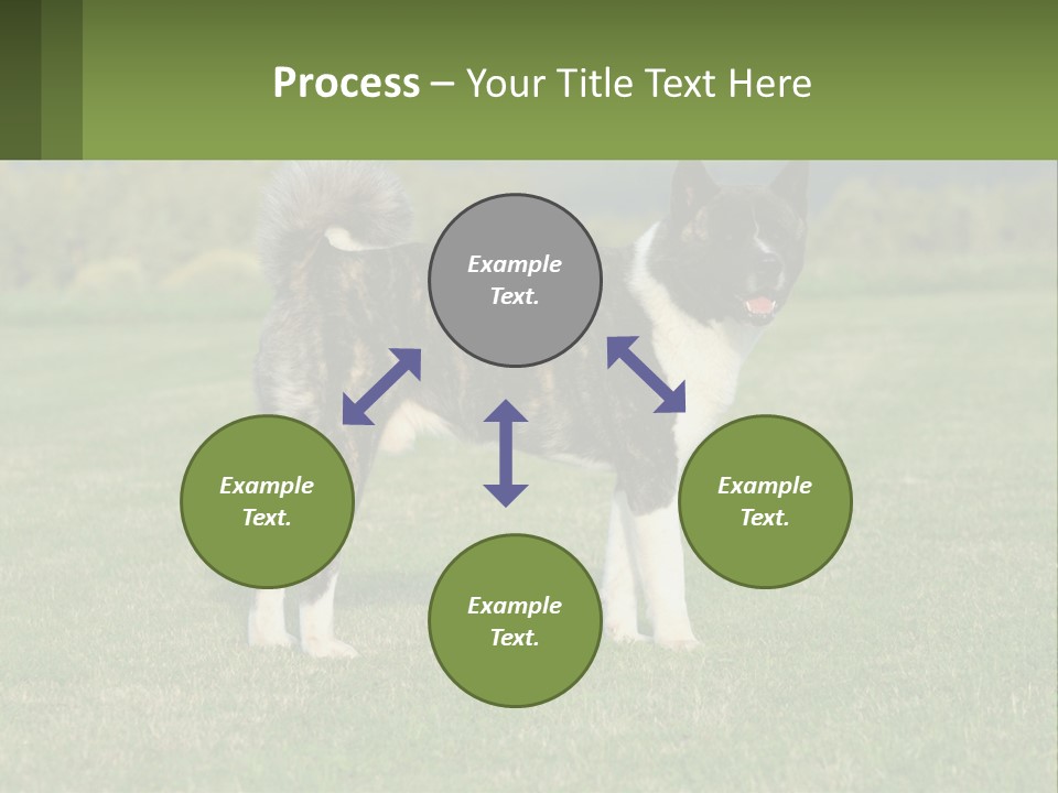 A Brown And White Dog Standing On Top Of A Lush Green Field PowerPoint Template