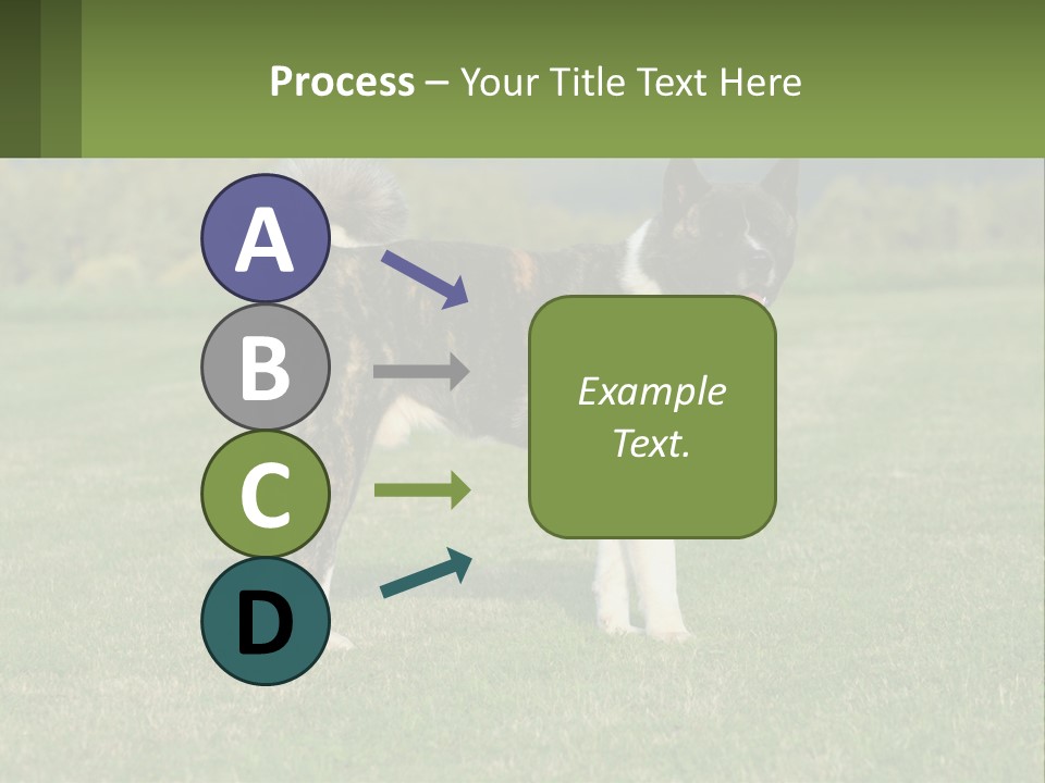 A Brown And White Dog Standing On Top Of A Lush Green Field PowerPoint Template