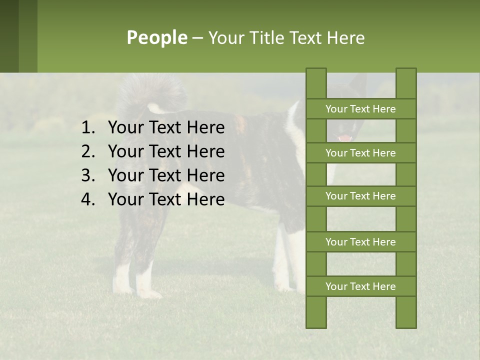 A Brown And White Dog Standing On Top Of A Lush Green Field PowerPoint Template