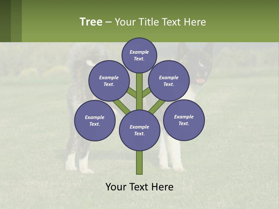 A Brown And White Dog Standing On Top Of A Lush Green Field PowerPoint Template