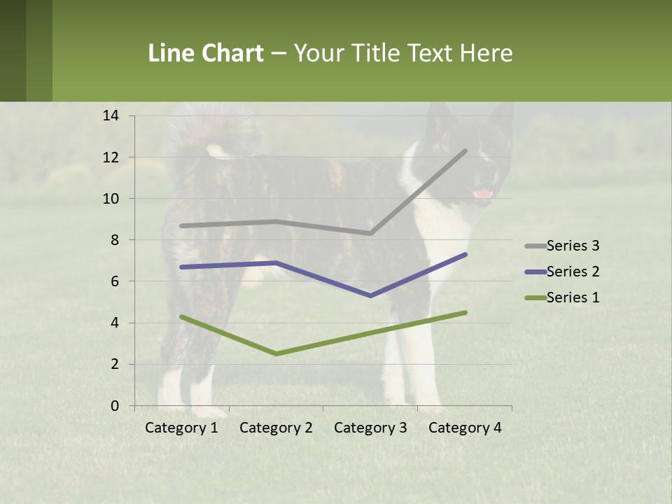 A Brown And White Dog Standing On Top Of A Lush Green Field PowerPoint Template