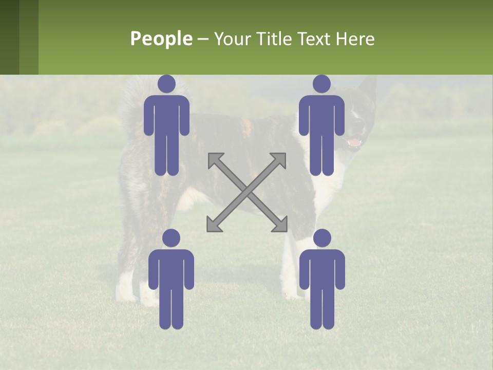 A Brown And White Dog Standing On Top Of A Lush Green Field PowerPoint Template