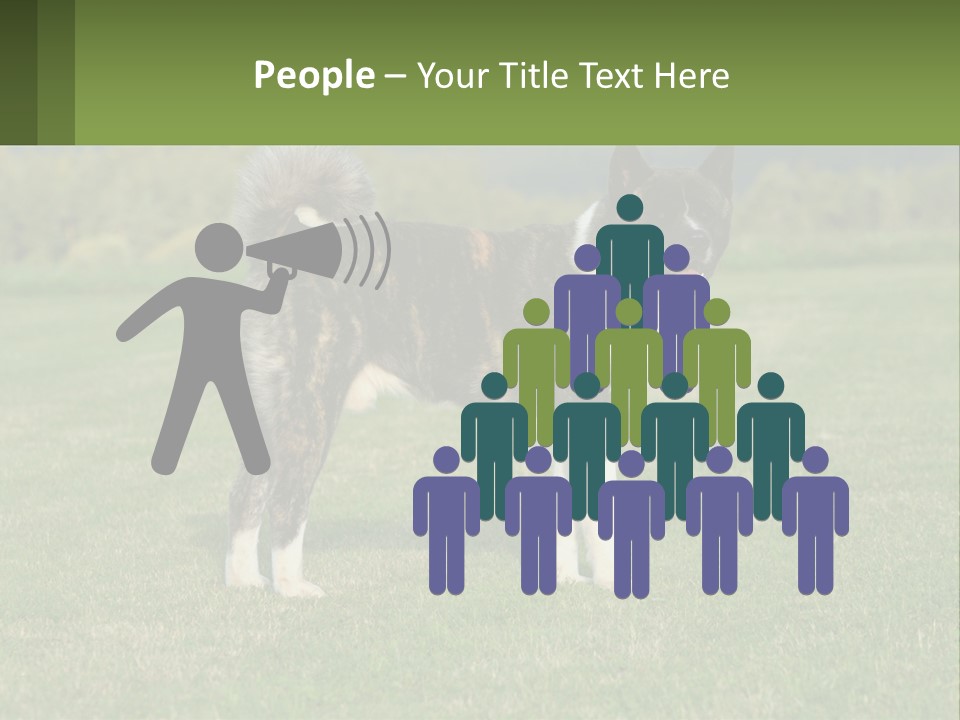 A Brown And White Dog Standing On Top Of A Lush Green Field PowerPoint Template