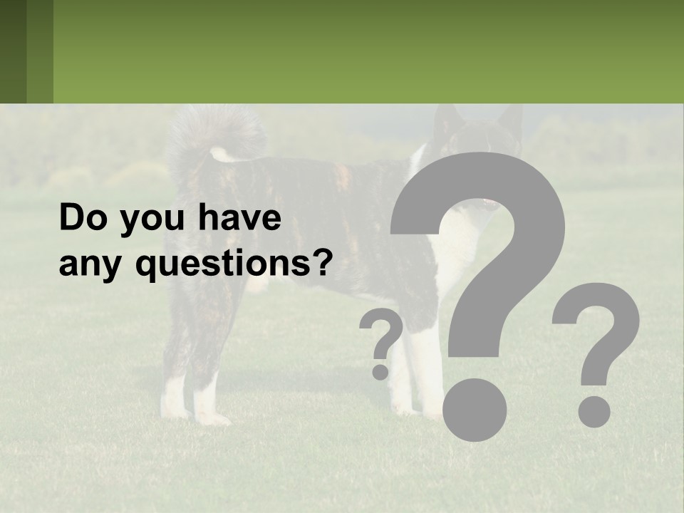 A Brown And White Dog Standing On Top Of A Lush Green Field PowerPoint Template