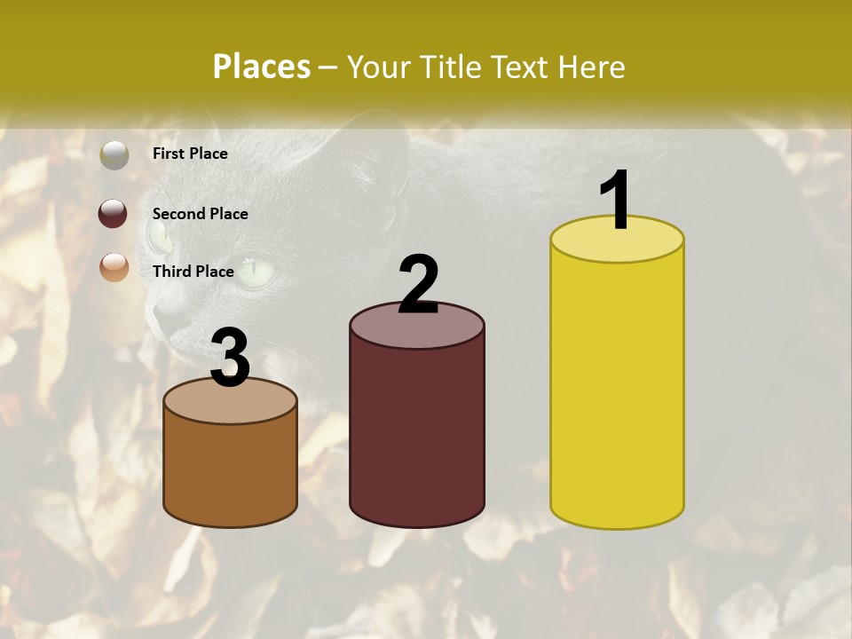 A Gray Cat Standing On Top Of A Pile Of Leaves PowerPoint Template