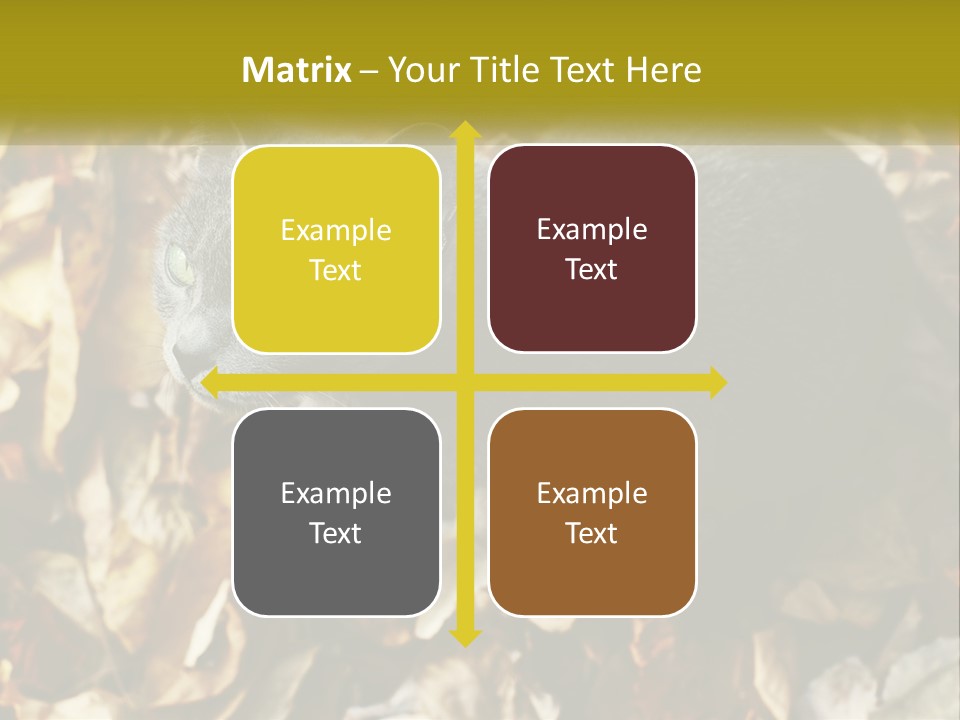 A Gray Cat Standing On Top Of A Pile Of Leaves PowerPoint Template