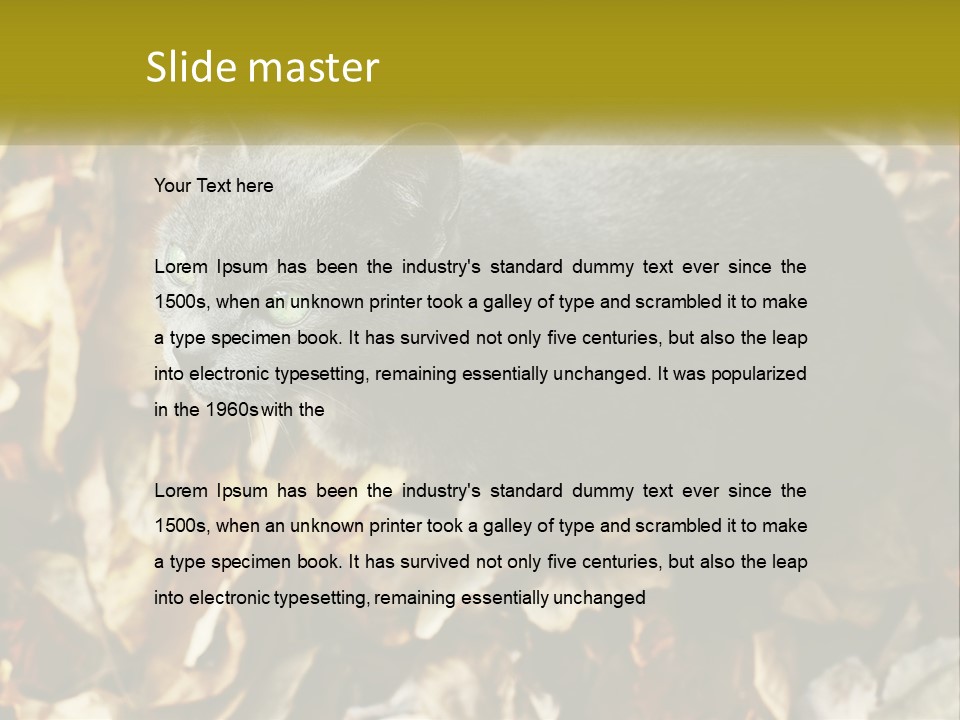 A Gray Cat Standing On Top Of A Pile Of Leaves PowerPoint Template