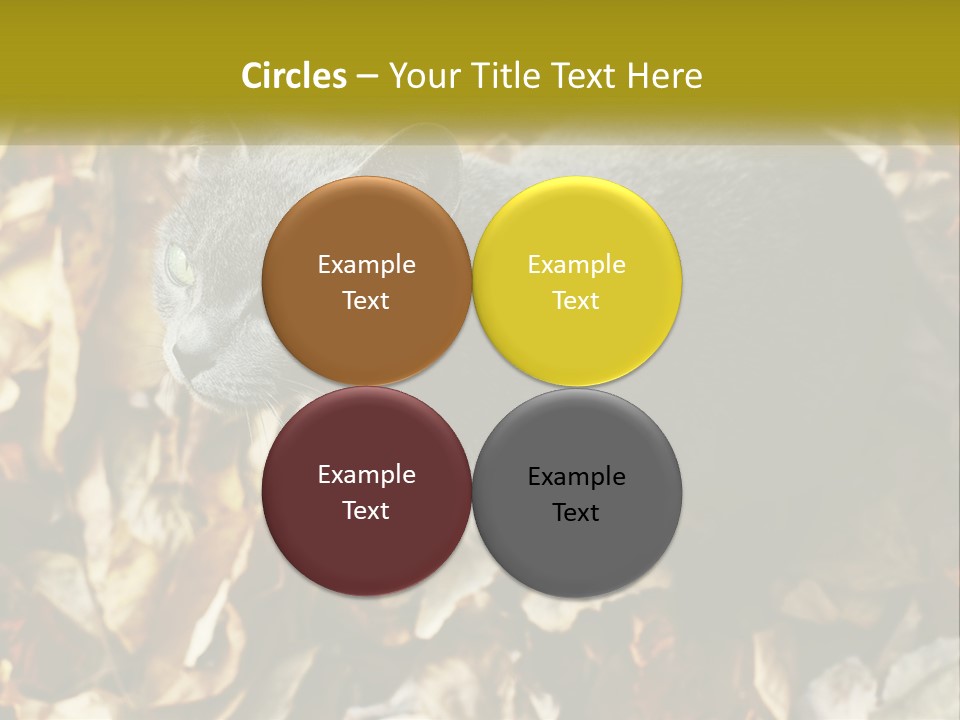 A Gray Cat Standing On Top Of A Pile Of Leaves PowerPoint Template