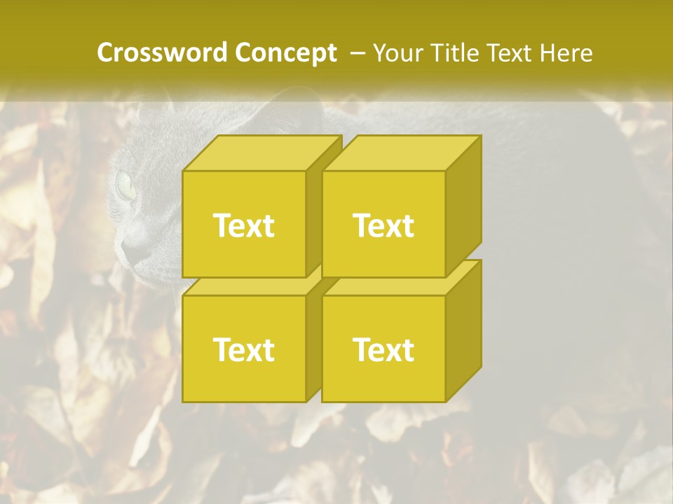 A Gray Cat Standing On Top Of A Pile Of Leaves PowerPoint Template