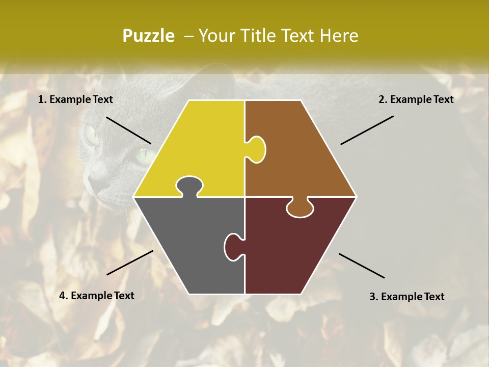 A Gray Cat Standing On Top Of A Pile Of Leaves PowerPoint Template