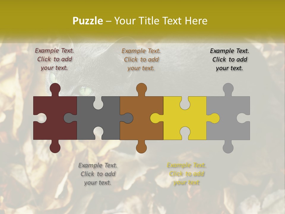 A Gray Cat Standing On Top Of A Pile Of Leaves PowerPoint Template