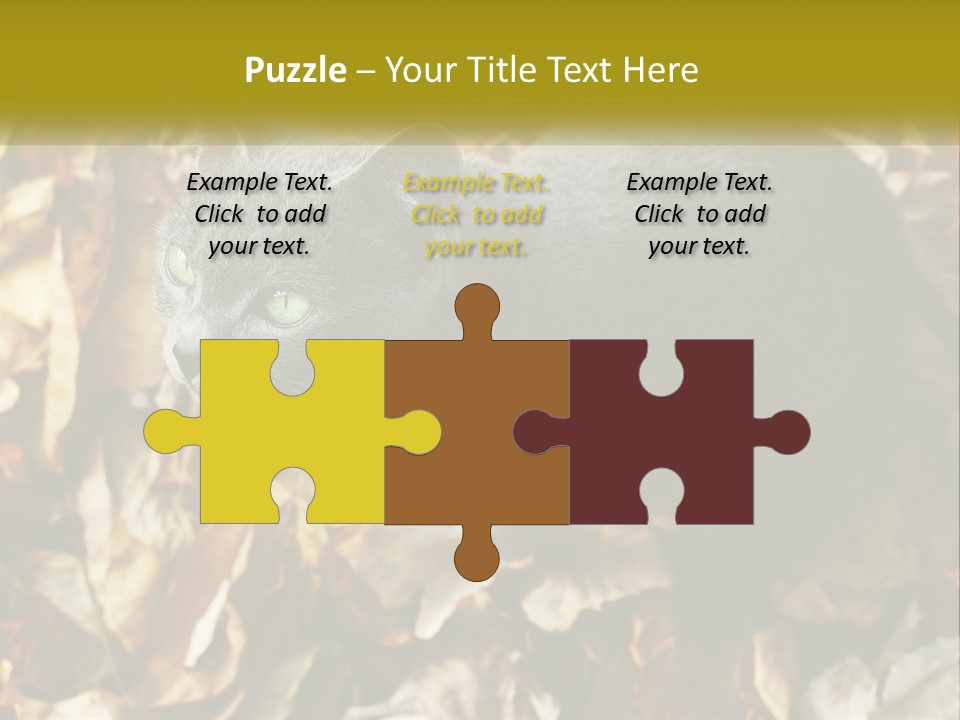 A Gray Cat Standing On Top Of A Pile Of Leaves PowerPoint Template