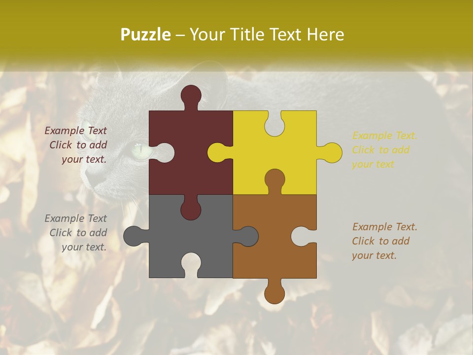 A Gray Cat Standing On Top Of A Pile Of Leaves PowerPoint Template