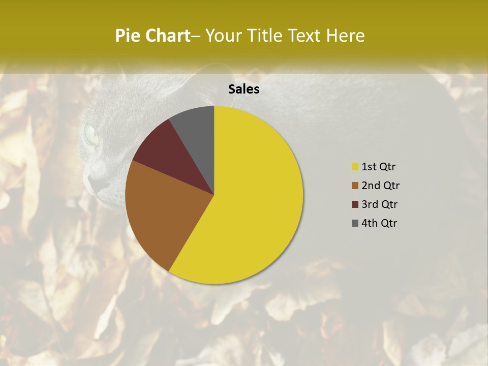 A Gray Cat Standing On Top Of A Pile Of Leaves PowerPoint Template