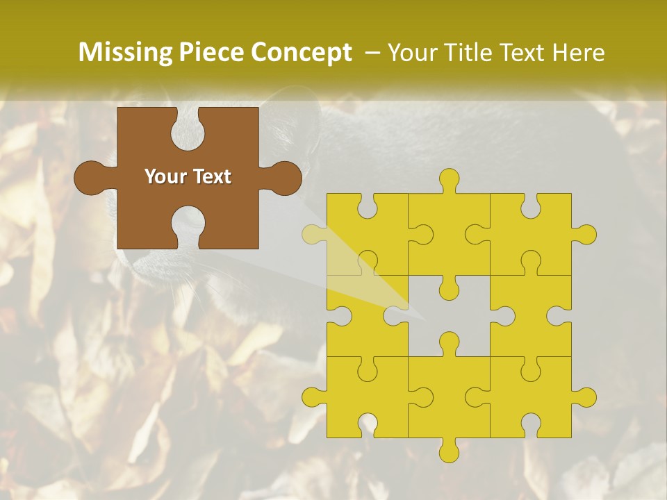 A Gray Cat Standing On Top Of A Pile Of Leaves PowerPoint Template