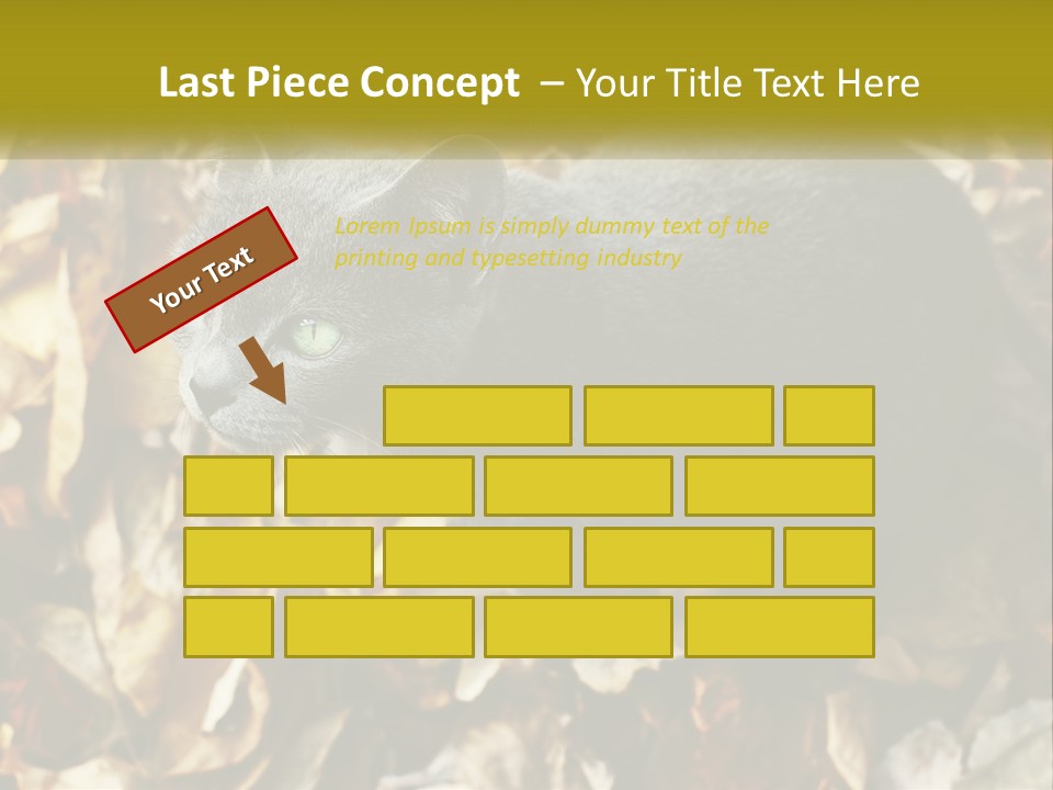 A Gray Cat Standing On Top Of A Pile Of Leaves PowerPoint Template