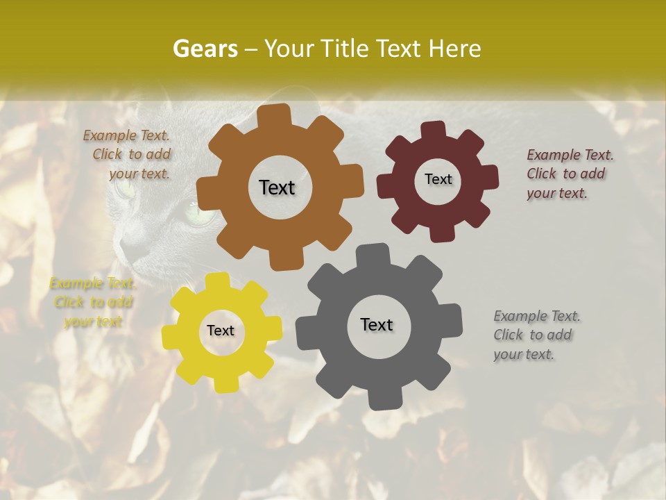 A Gray Cat Standing On Top Of A Pile Of Leaves PowerPoint Template