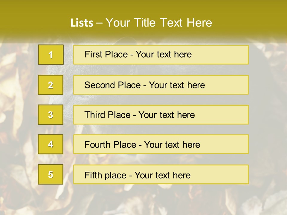 A Gray Cat Standing On Top Of A Pile Of Leaves PowerPoint Template