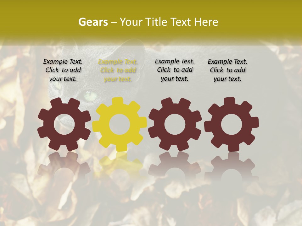 A Gray Cat Standing On Top Of A Pile Of Leaves PowerPoint Template