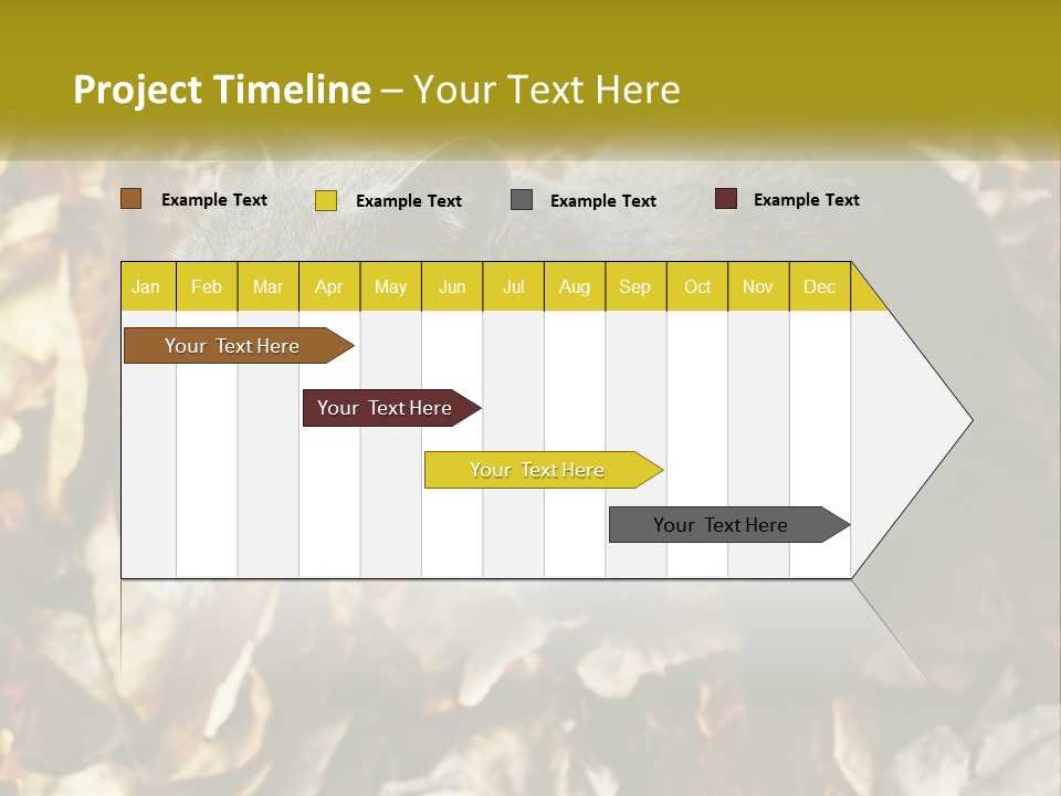 A Gray Cat Standing On Top Of A Pile Of Leaves PowerPoint Template