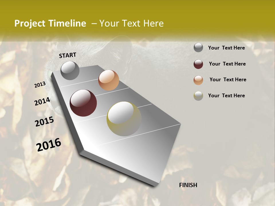 A Gray Cat Standing On Top Of A Pile Of Leaves PowerPoint Template
