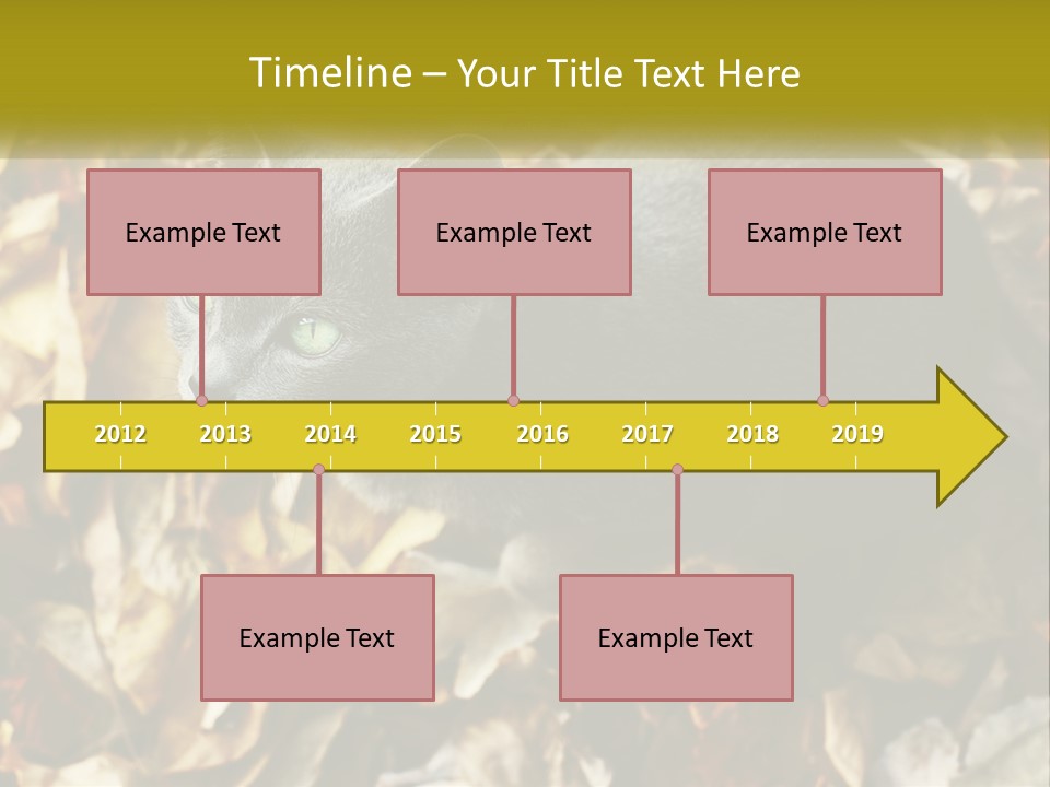 A Gray Cat Standing On Top Of A Pile Of Leaves PowerPoint Template