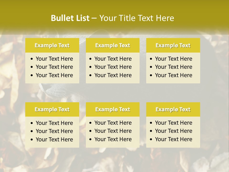 A Gray Cat Standing On Top Of A Pile Of Leaves PowerPoint Template