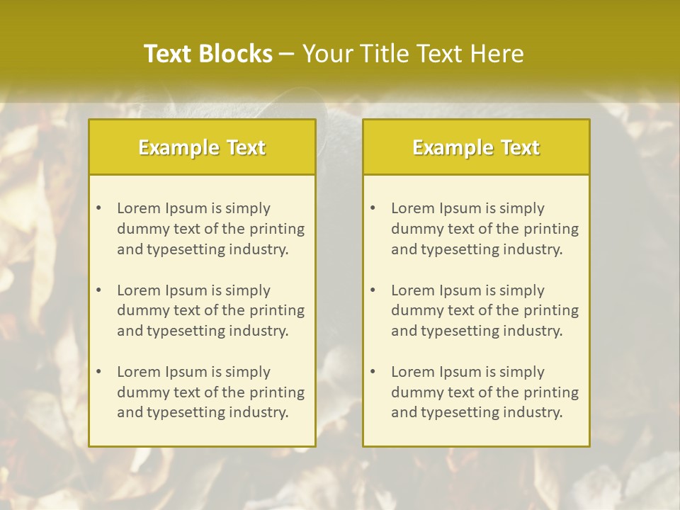 A Gray Cat Standing On Top Of A Pile Of Leaves PowerPoint Template