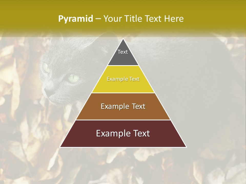 A Gray Cat Standing On Top Of A Pile Of Leaves PowerPoint Template