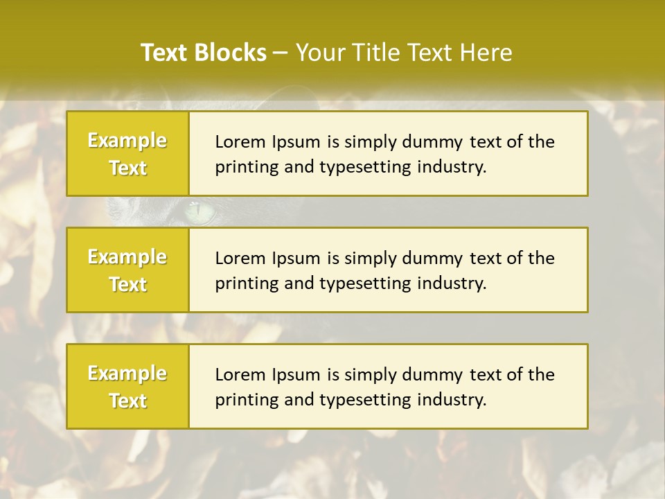 A Gray Cat Standing On Top Of A Pile Of Leaves PowerPoint Template
