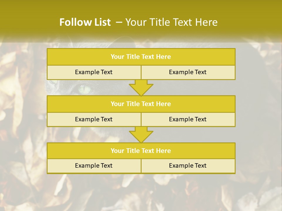 A Gray Cat Standing On Top Of A Pile Of Leaves PowerPoint Template