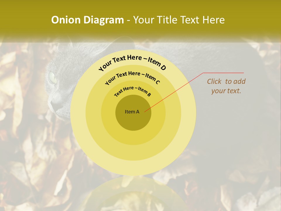 A Gray Cat Standing On Top Of A Pile Of Leaves PowerPoint Template