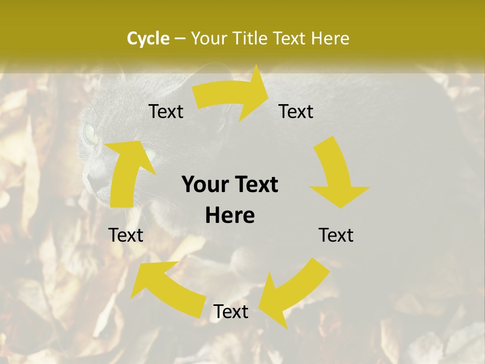 A Gray Cat Standing On Top Of A Pile Of Leaves PowerPoint Template