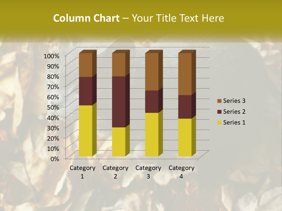 A Gray Cat Standing On Top Of A Pile Of Leaves PowerPoint Template