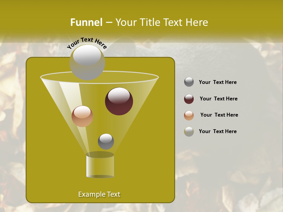 A Gray Cat Standing On Top Of A Pile Of Leaves PowerPoint Template