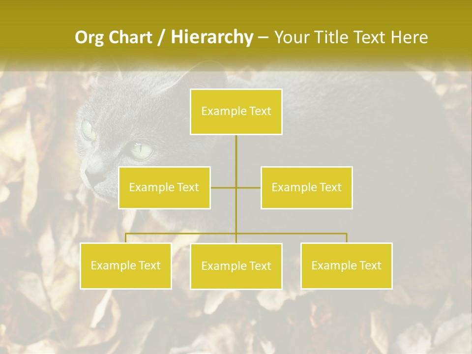 A Gray Cat Standing On Top Of A Pile Of Leaves PowerPoint Template
