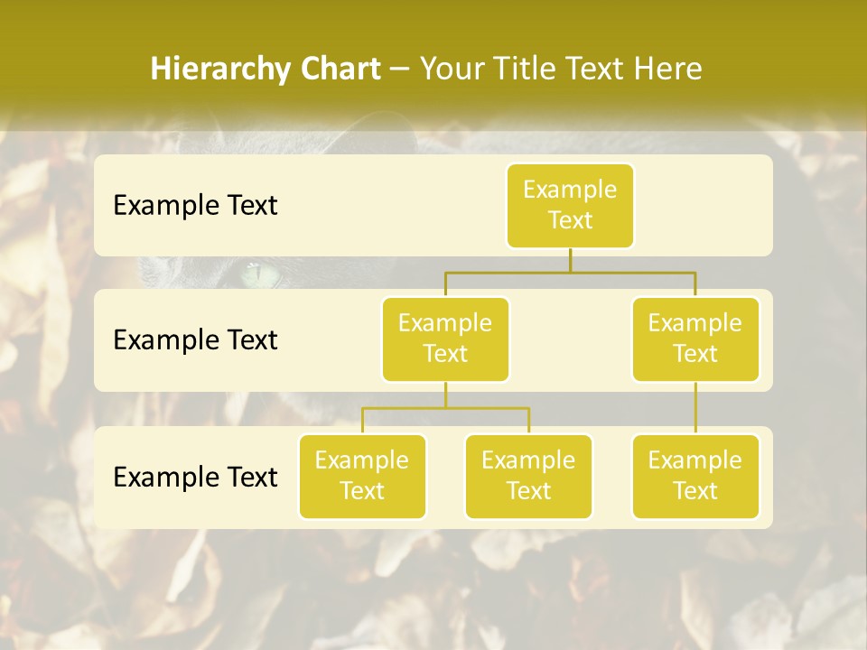 A Gray Cat Standing On Top Of A Pile Of Leaves PowerPoint Template