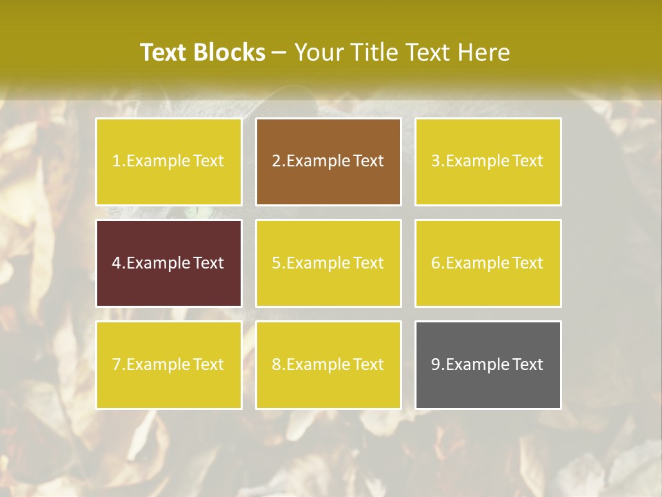 A Gray Cat Standing On Top Of A Pile Of Leaves PowerPoint Template