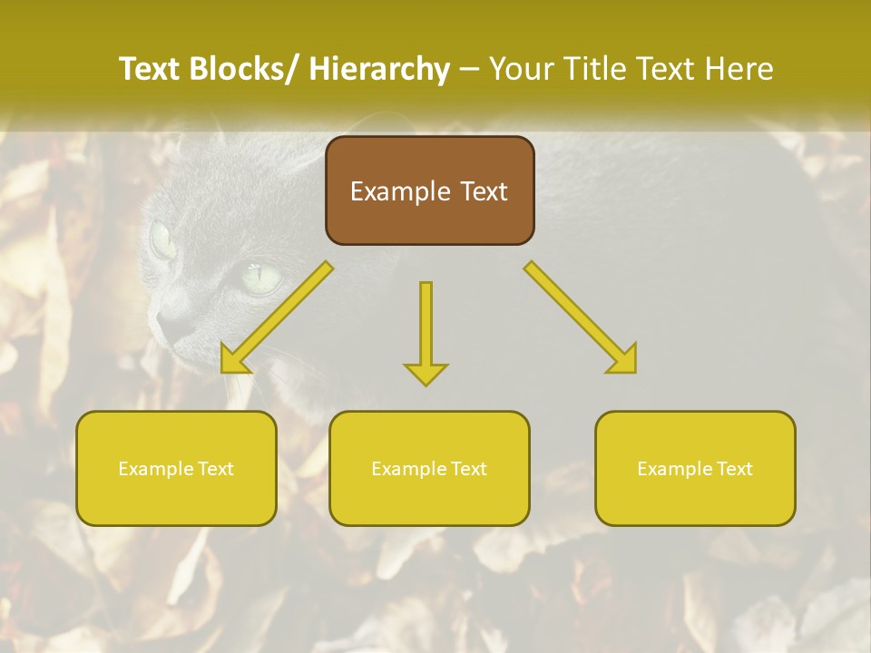 A Gray Cat Standing On Top Of A Pile Of Leaves PowerPoint Template