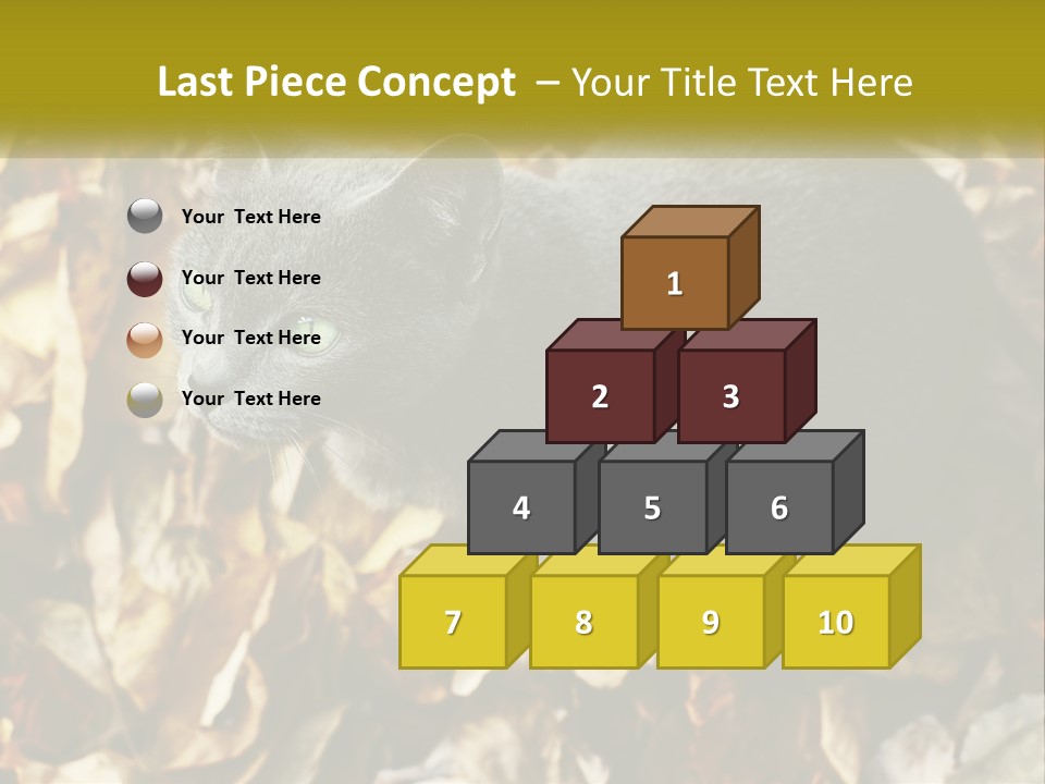 A Gray Cat Standing On Top Of A Pile Of Leaves PowerPoint Template