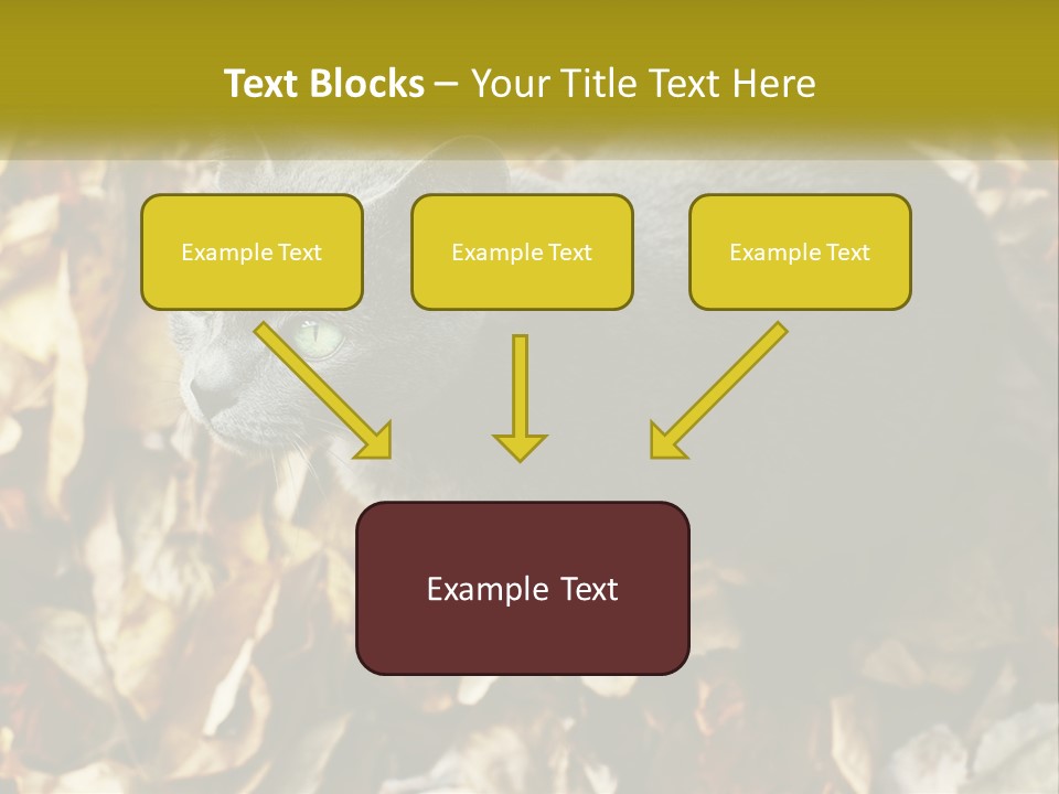 A Gray Cat Standing On Top Of A Pile Of Leaves PowerPoint Template