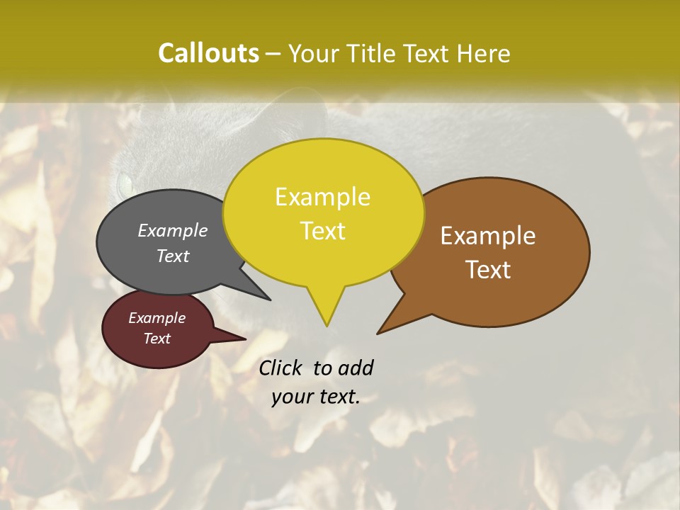 A Gray Cat Standing On Top Of A Pile Of Leaves PowerPoint Template