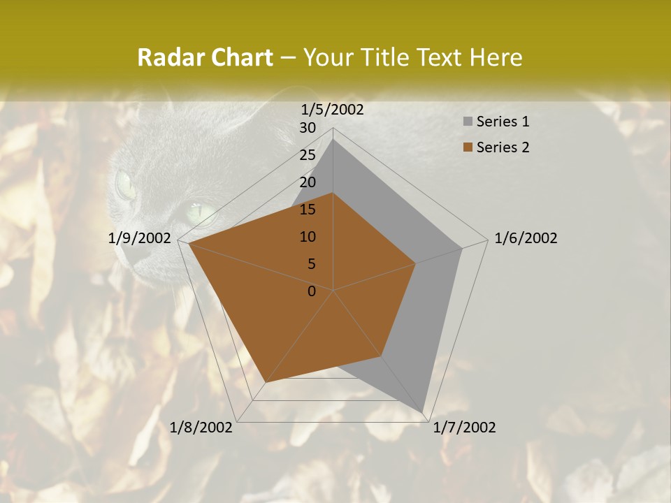 A Gray Cat Standing On Top Of A Pile Of Leaves PowerPoint Template