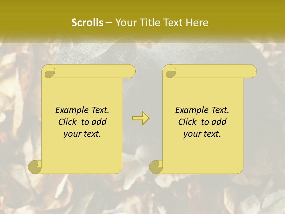 A Gray Cat Standing On Top Of A Pile Of Leaves PowerPoint Template