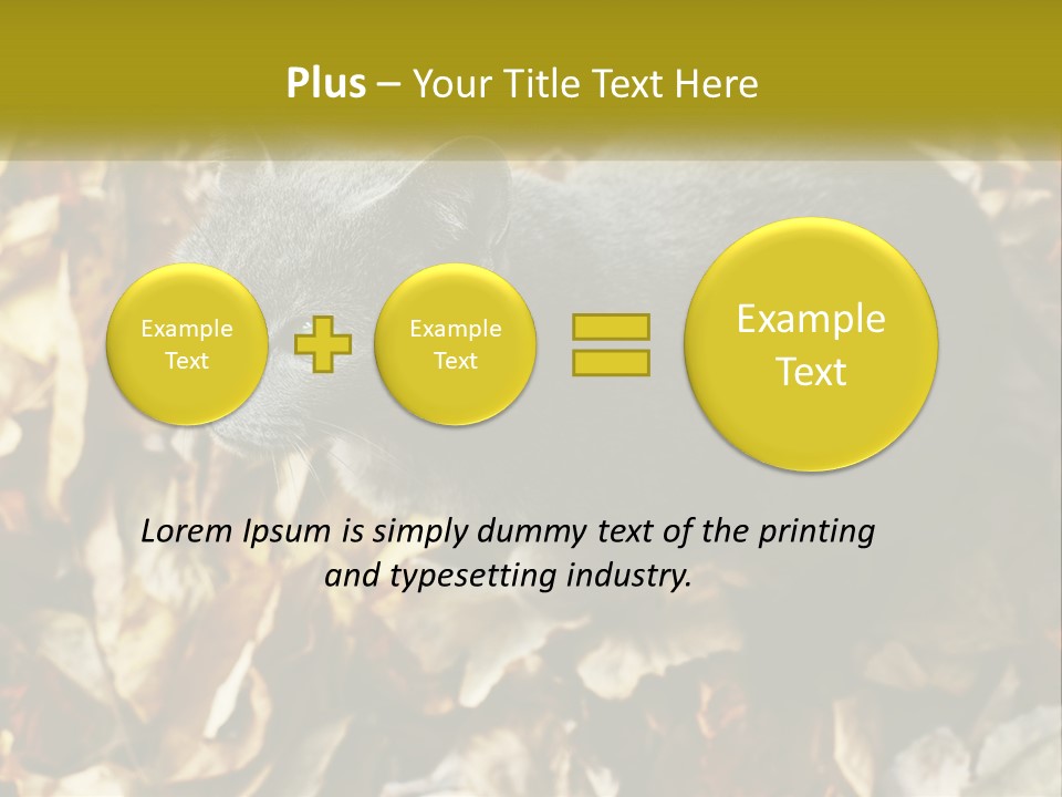 A Gray Cat Standing On Top Of A Pile Of Leaves PowerPoint Template
